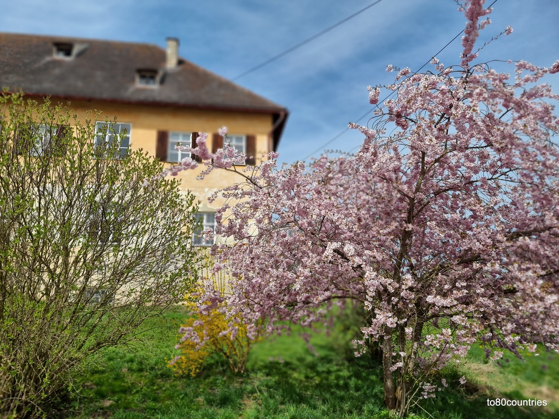 Kloster Scheyern - Hallertau - Prielhof