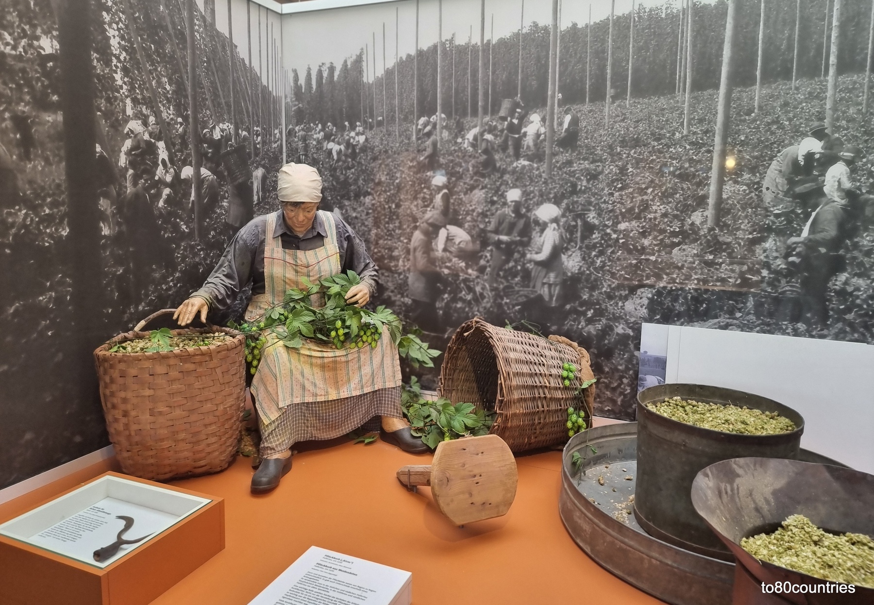 Deutsches Hopfenmuseum Wolnzach - Hallertau
