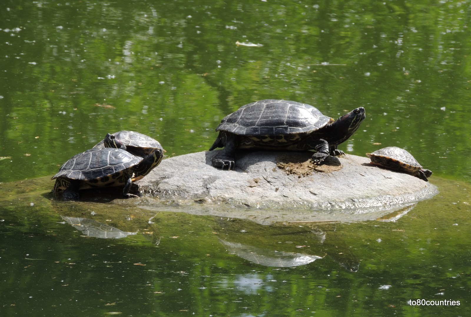 Westpark München Wasserlauf im Ostteil