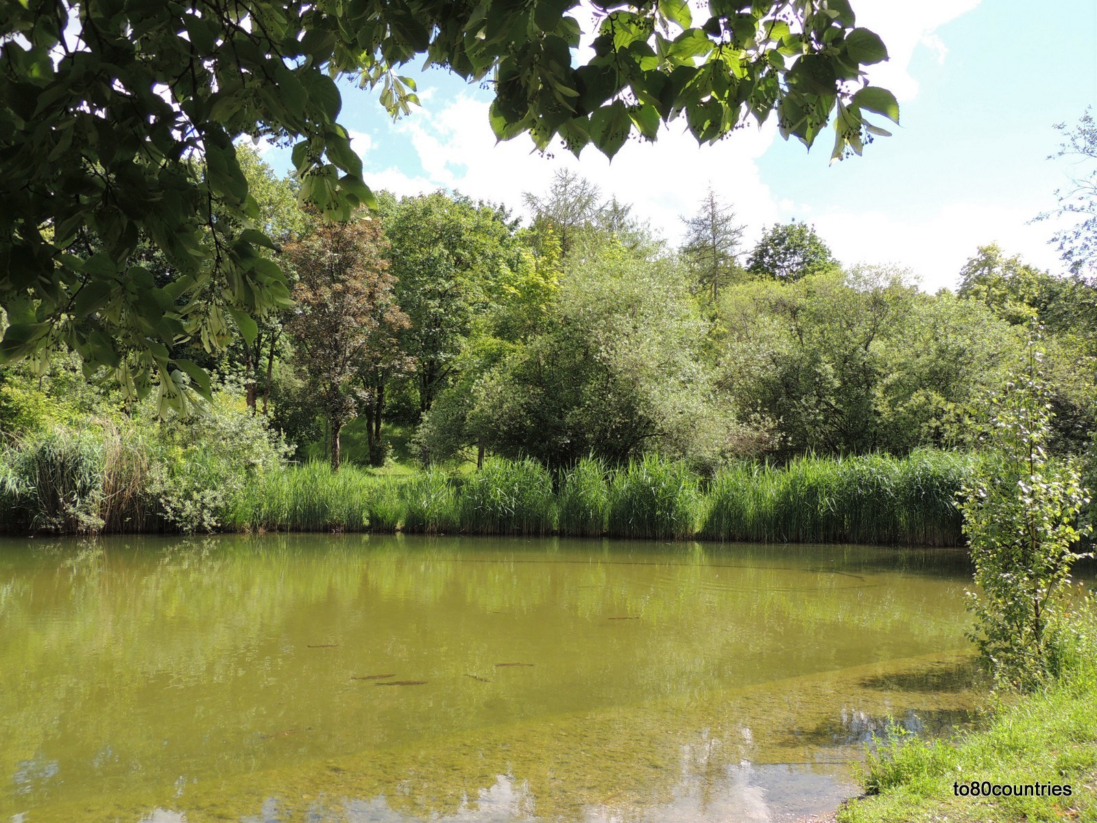 Westpark München Wasserlauf im Ostteil - Niedermoorbiotop