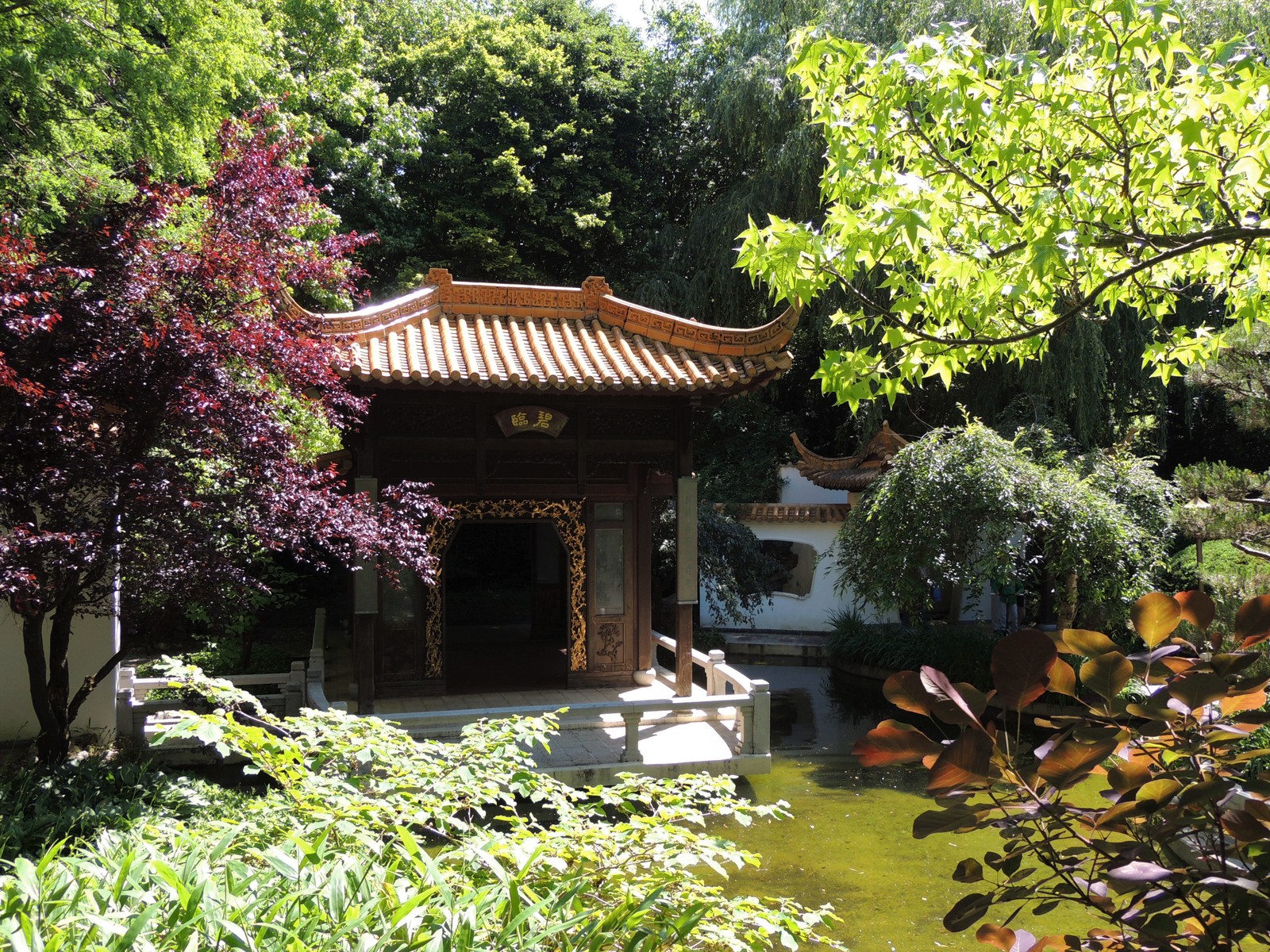 Pavillon im Chinesischen Garten