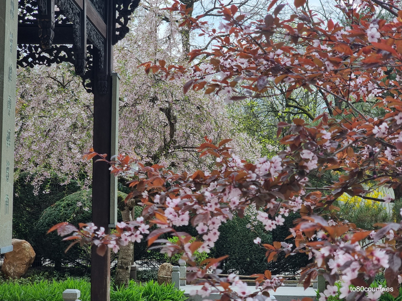 Der Garten von Duft und Pracht - Westpark München