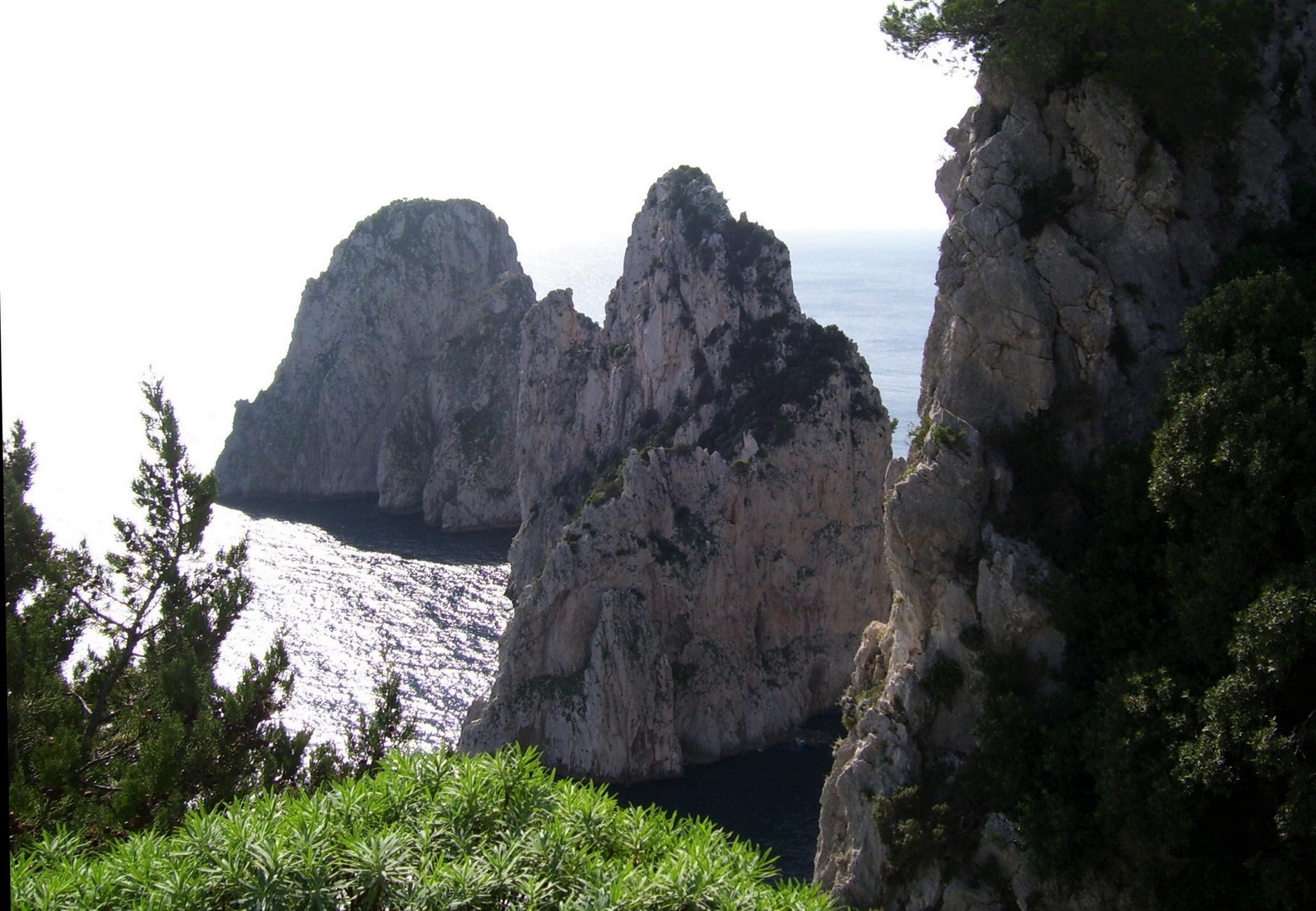 Capri - die Faraglioni 