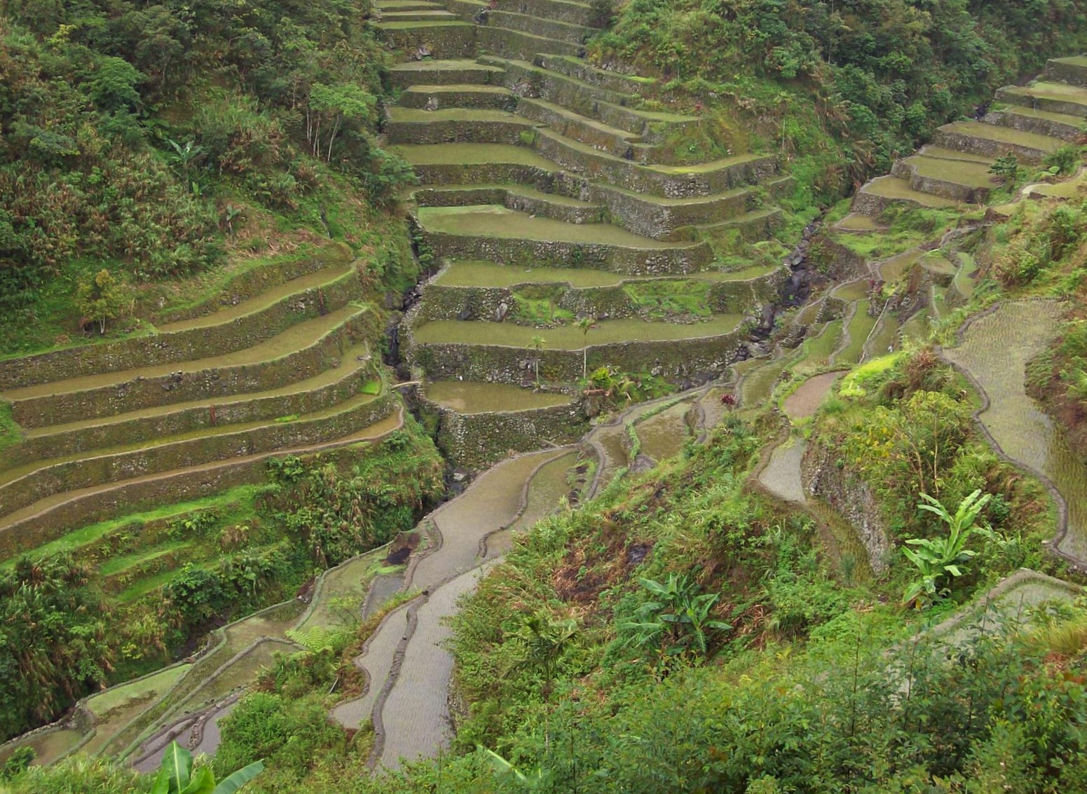 Reisterrassen von Batad in den Kordilleren - Luzon