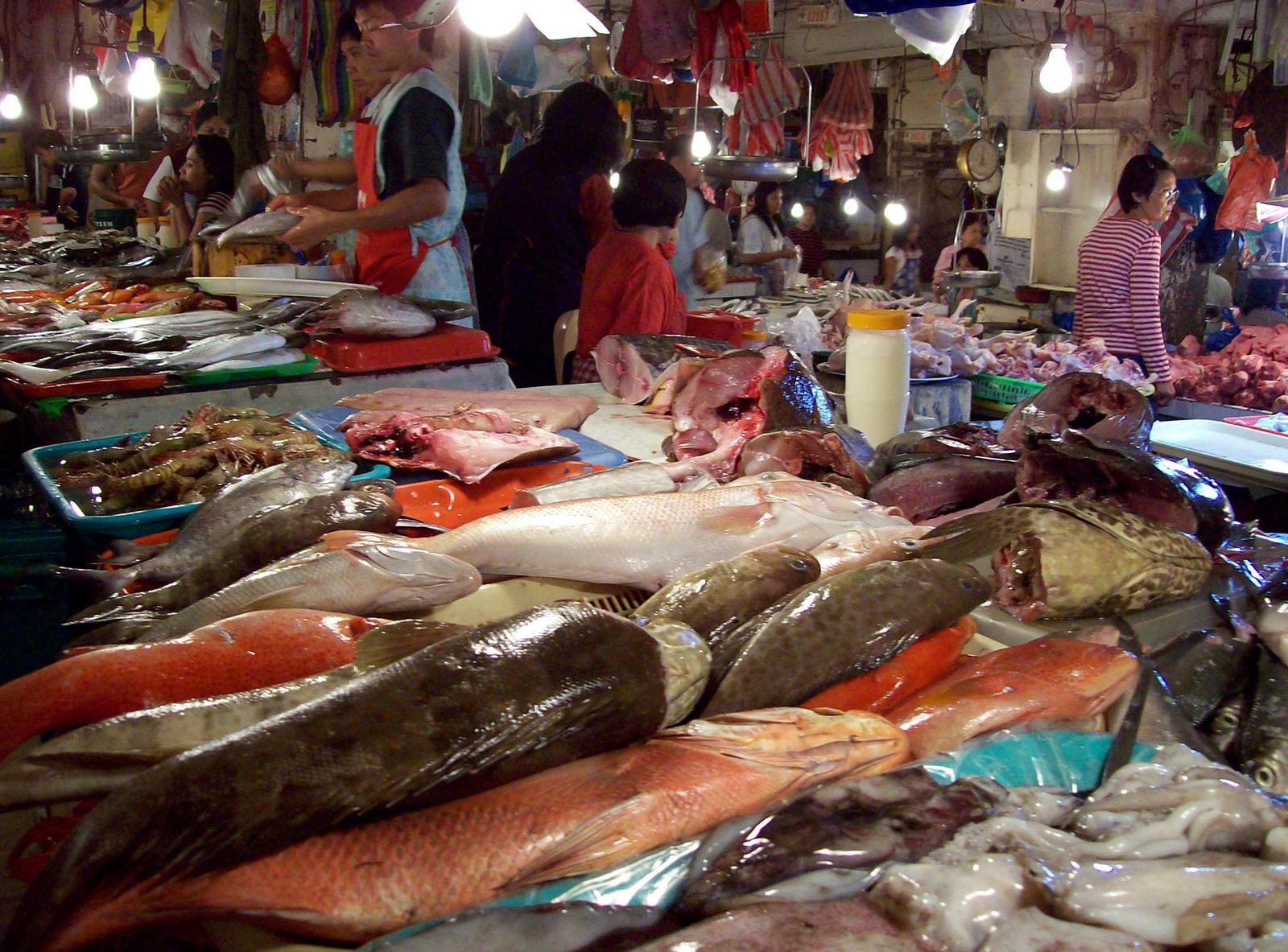Fischmarkt in Baguio - Luzon