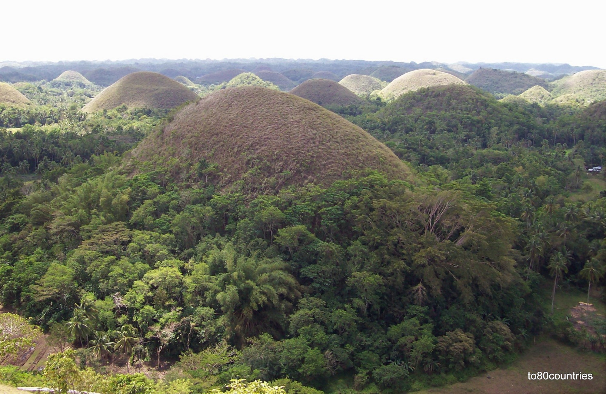 Chocolate Hills - Bohol