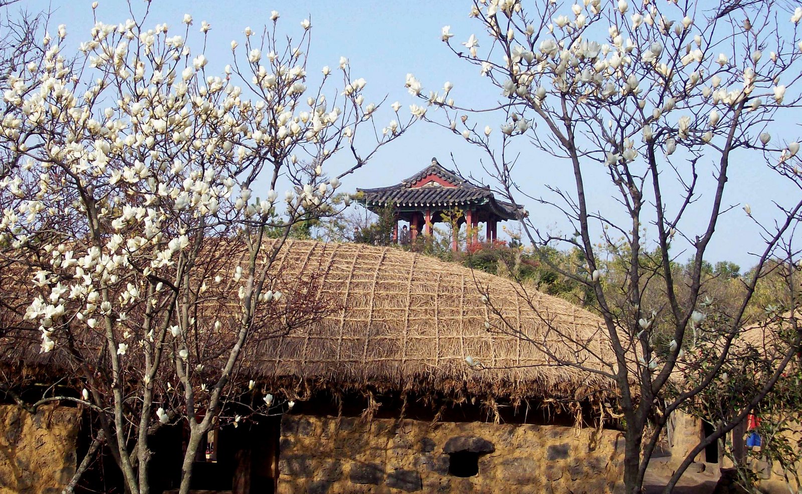 Jeju Folk Village Museum
