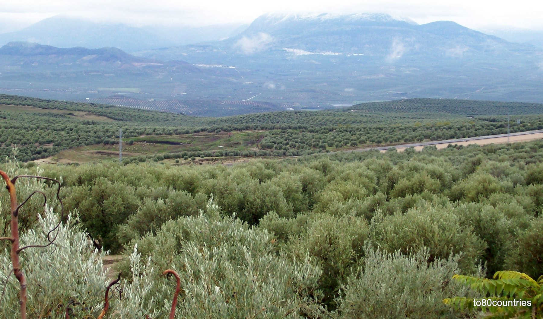Olivenhaine bei Ubeda