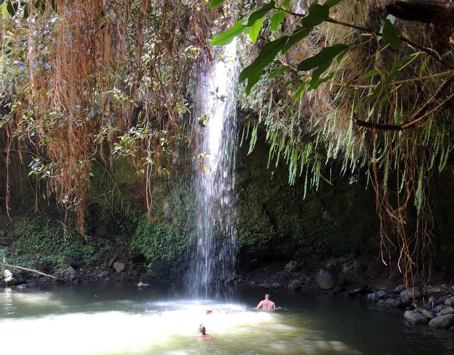 Twin Falls - Maui