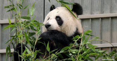 Hongkong und Macau – die ungleichen Schwestern an der Perlflussmündung