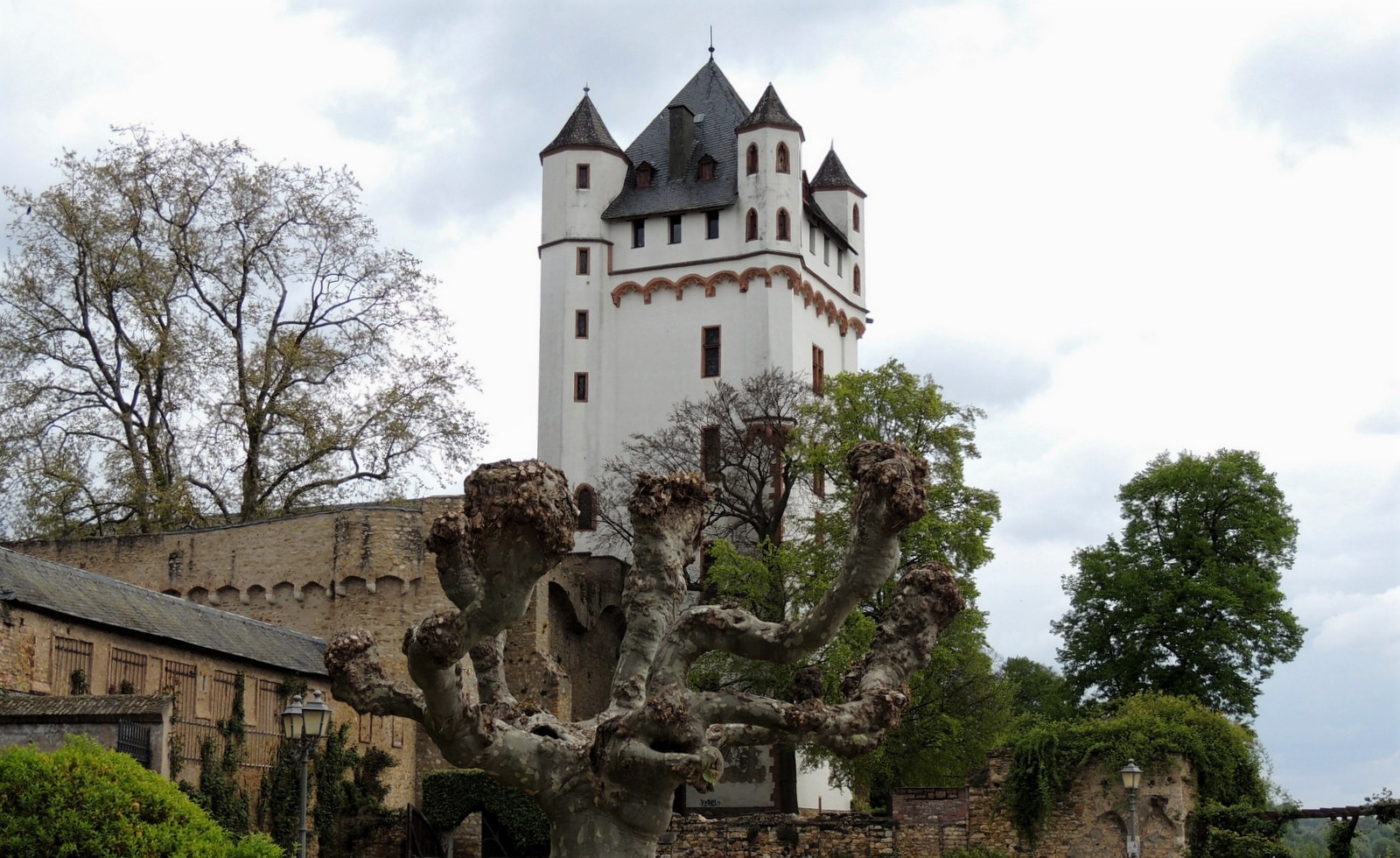 Schloss Eltville