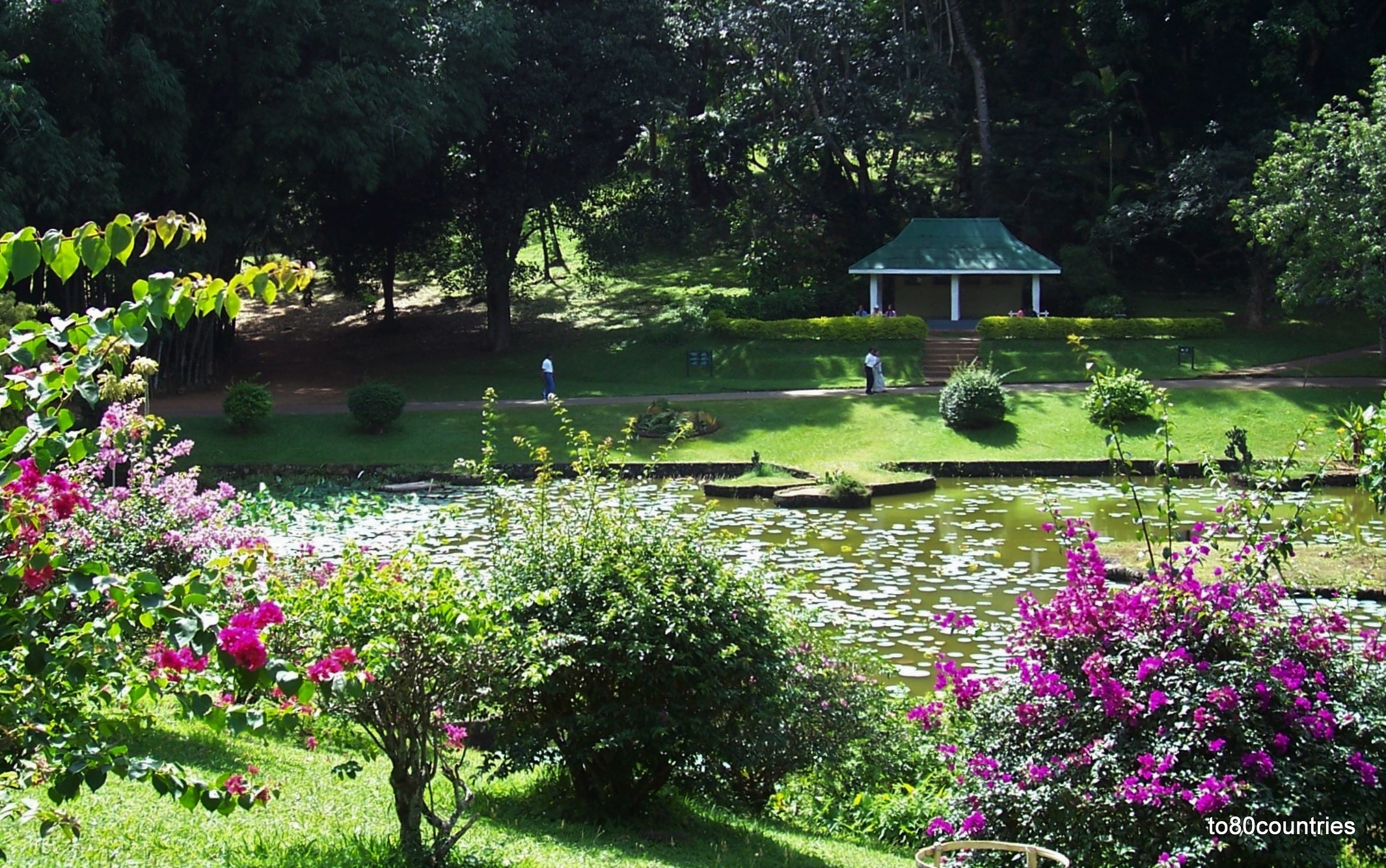 Botanischer Garten Peredeniya - Ceylon