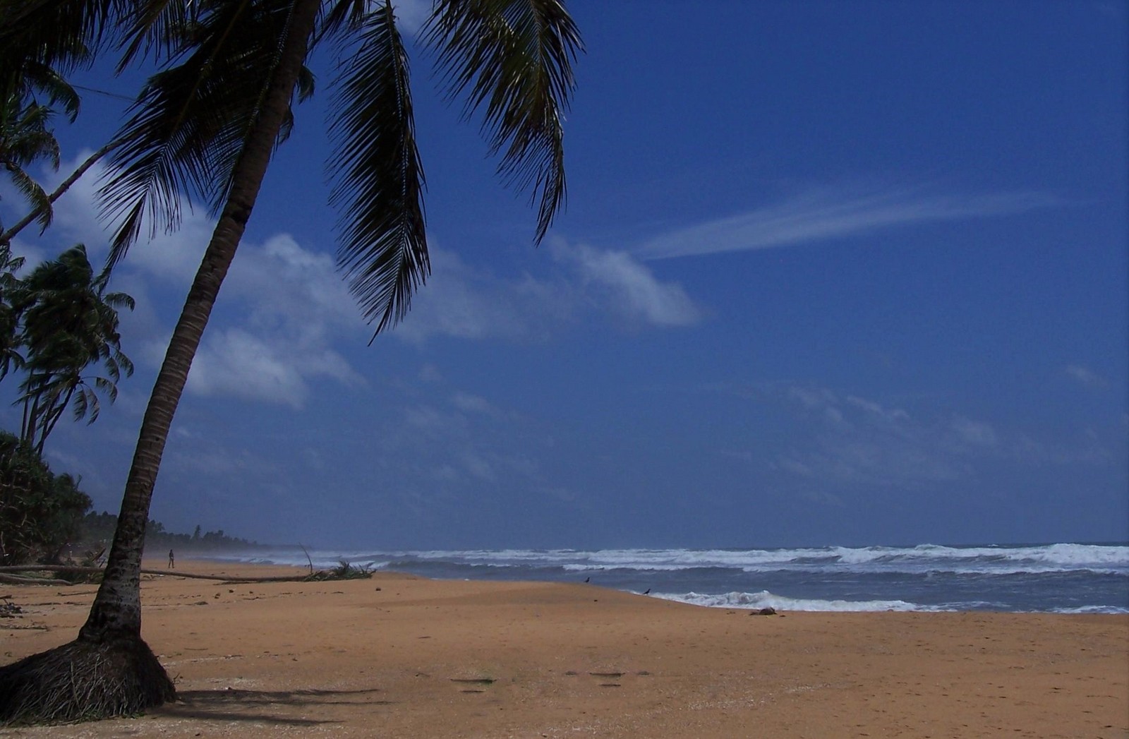 Strand von Kalutara - Ceylon