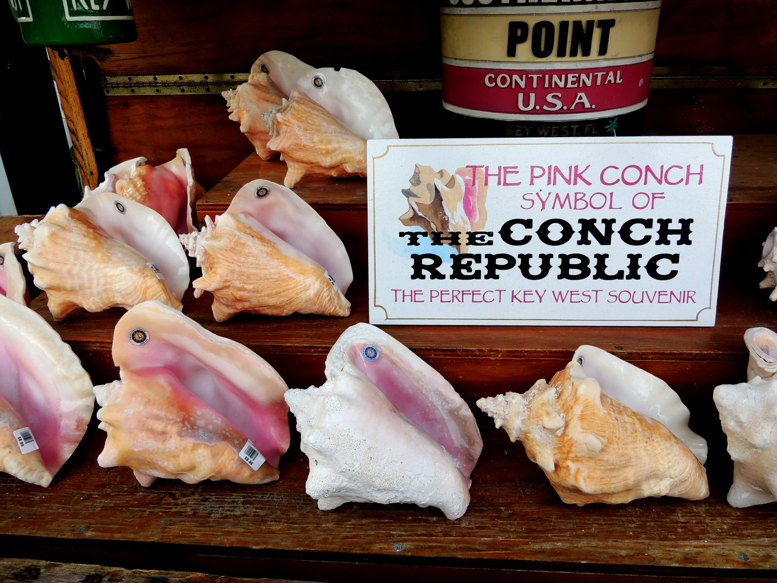 Pink Conch Key West