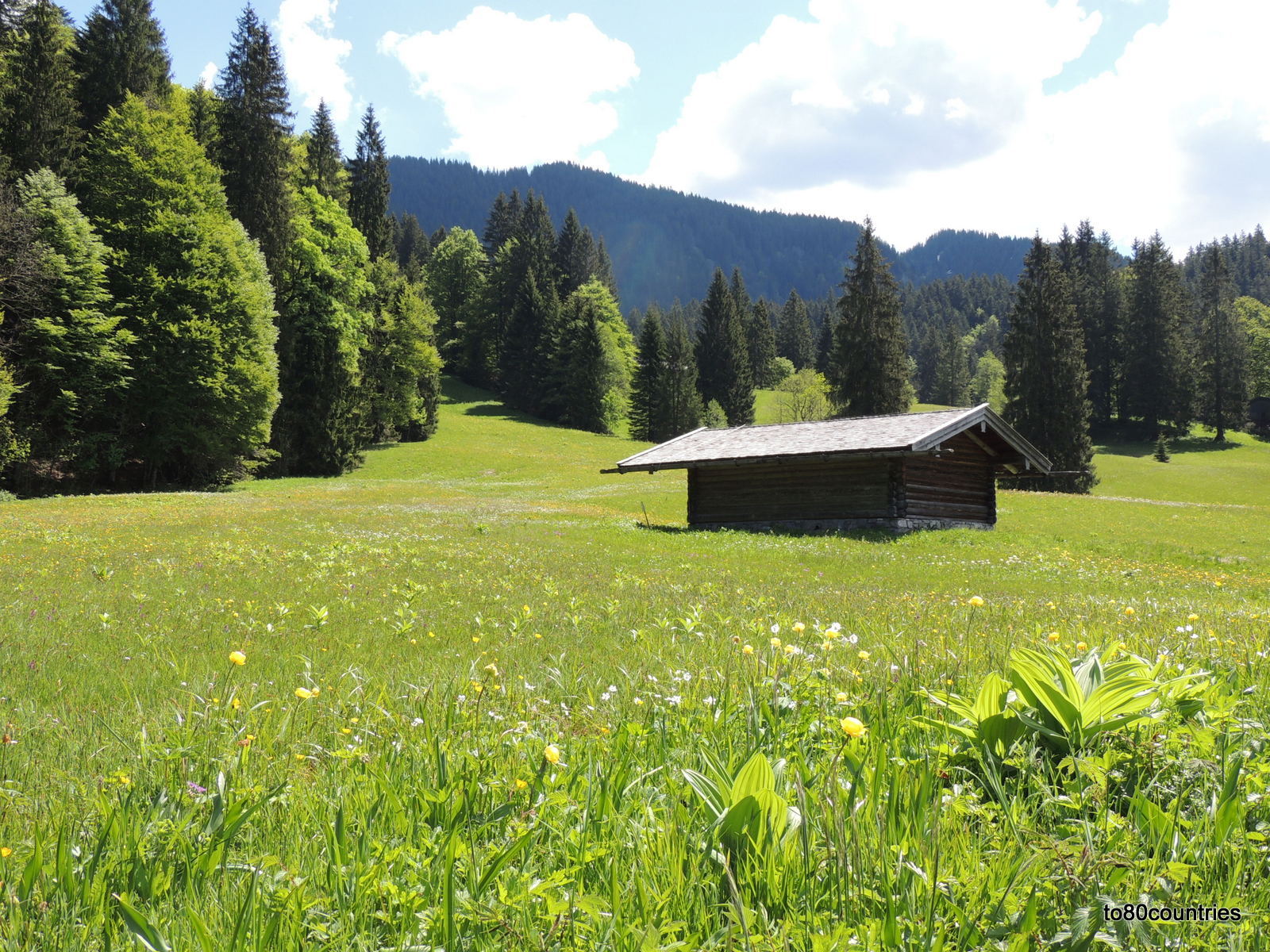 Wiese mit Hütten am Enns-Radweg