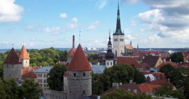 Tallinn - Blick vom Domberg auf die Unterstadt