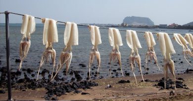 Jeju – die Insel der Taucherinnen